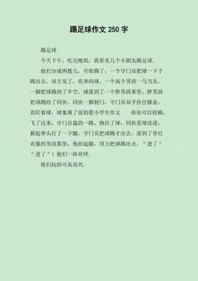 踢球比赛的短文（关于踢球比赛的作文）-图1