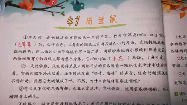 荷兰鼠阅读短文解答（荷兰鼠阅读短文答案）-图2