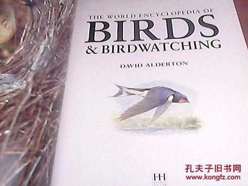 birds英语短文（birdwatching英语作文）-图3