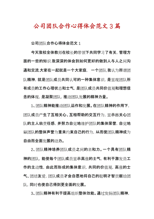 谈论团队的短文（关于团队的看法）-图3