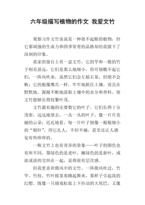 查找文竹短文（文竹短文是按什么顺序写的）-图1