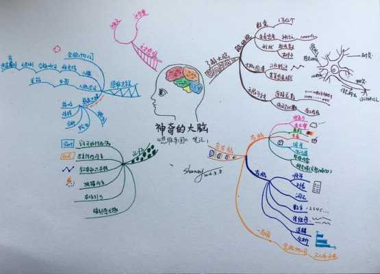 大脑阅读短文及答案（大脑是如何思维的阅读理解）-图3