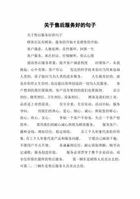 售后服务感想短文（售后服务的感悟与收获）-图2