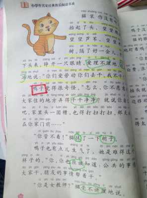 猫的悲剧短文（猫的悲喜剧告诉我们什么道理）-图1