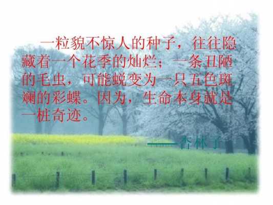 杏林子短文阅读理解（杏林子的树阅读答案）-图3