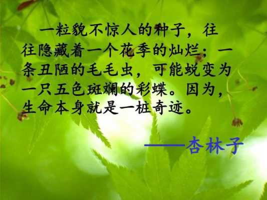 杏林子短文阅读理解（杏林子的树阅读答案）-图2