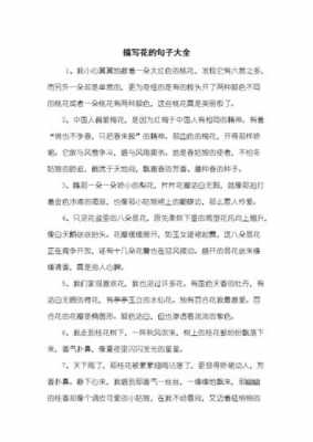 摘抄花卉的短文（摘抄花的句子短句）-图1