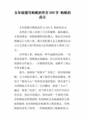 蚂蚁短文（蚂蚁短文的启发）-图2