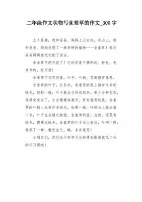 含羞草短文阅读（含羞草阅读答案）-图2