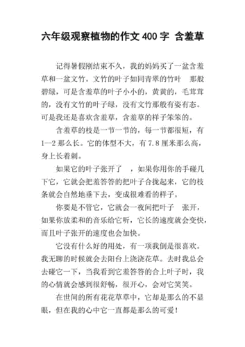 含羞草短文阅读（含羞草阅读答案）-图3