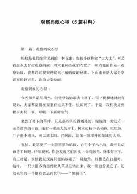 蚂蚁和江津阅读短文（蚂蚁和牛阅读理解）-图3