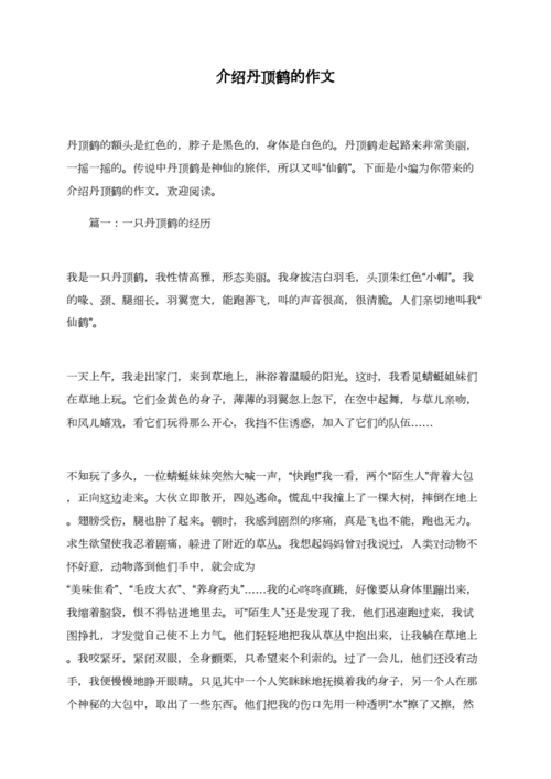 介绍丹顶鹤的短文（介绍丹顶鹤的短文300字）-图3