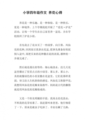 短文养花专家（养花这篇短文主要讲了什么）-图1