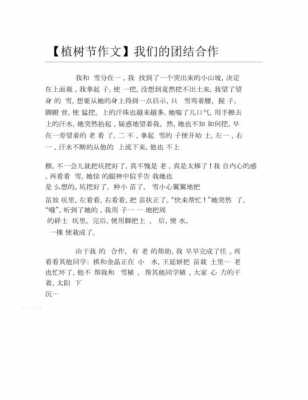 关于合作植树的短文（合作种树作文）-图3