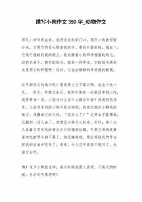 描述小狗的短文（描述小狗写一段话）-图2