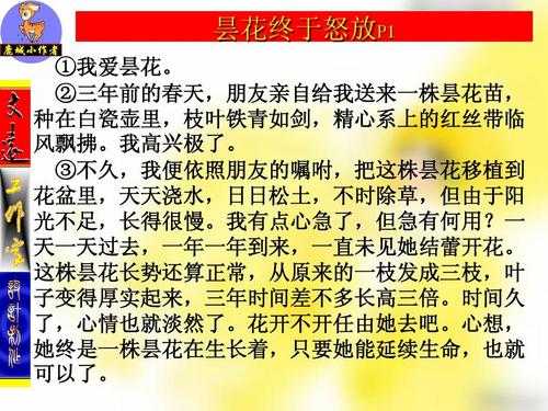 怒放短文（怒放课外阅读答案）-图3