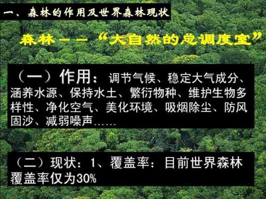 森林与气候阅读短文（森林对气候的作用）-图3