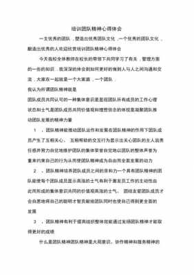 团队精神体会短文（团队精神心得体会如何写）-图2