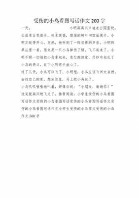 受伤的小鸟短文（受伤的小鸟短文阅读）-图2