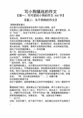 狗的短文（狗的短文带给你什么启示或感受请你写一写）-图1