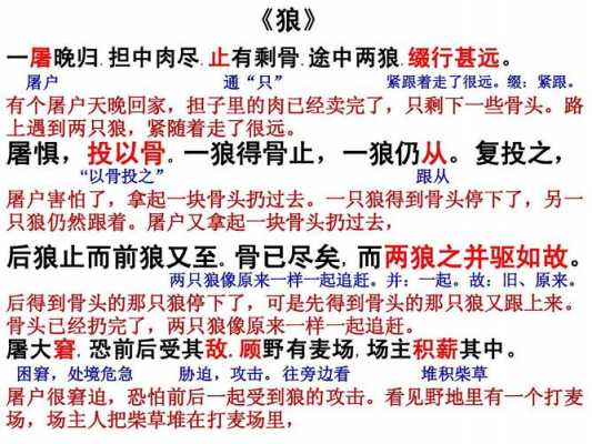 狼阅读短文（阅读理解狼）-图1