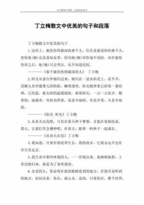 丁丽梅考试短文（丁丽梅优美语段）-图1