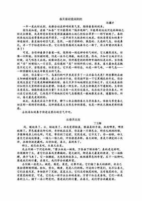 丁丽梅考试短文（丁丽梅优美语段）-图2