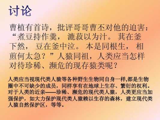 短文毁灭的森林（短文毁灭的森林主要内容）-图3