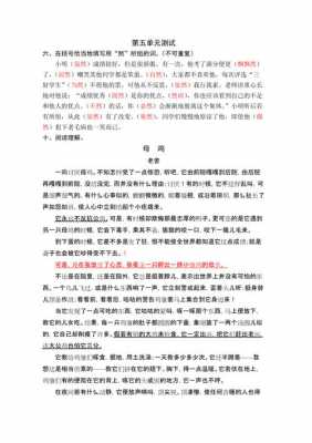 母鸡母鸡阅读短文答案（母鸡阅读参考答案）-图1