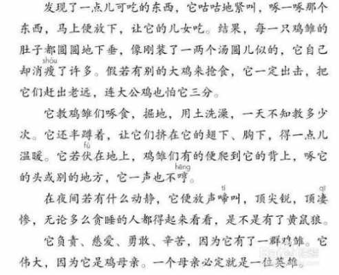 母鸡母鸡阅读短文答案（母鸡阅读参考答案）-图2