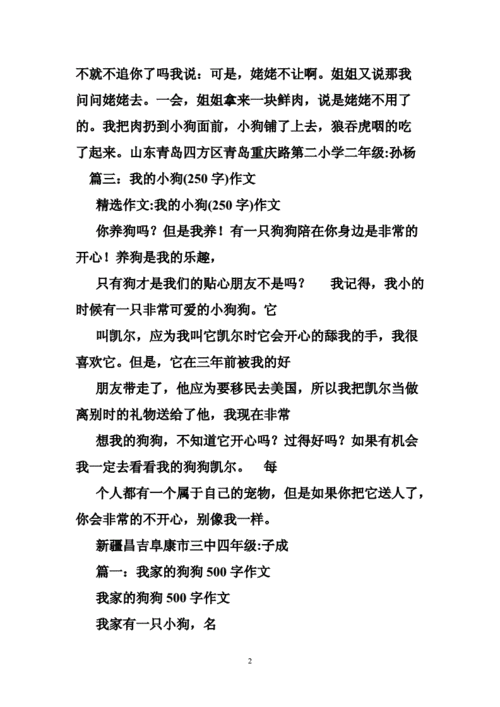 小狗250字短文（小狗作文250字三年级作文）-图2