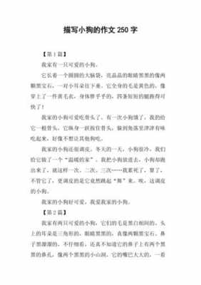 小狗250字短文（小狗作文250字三年级作文）-图3