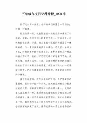 短文种辣椒（种辣椒阅读理解）-图1