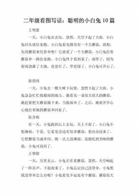 聪明的小兔短文答案（聪明的小兔阅读理解答案）-图3