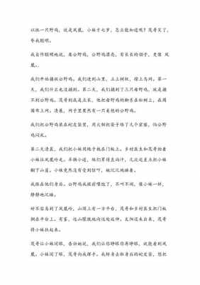 短文阅读雕凤凰（雕凤凰这篇阅读及答案）-图1