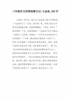 阅读短文小金鱼（阅读短文小金鱼答案）-图1