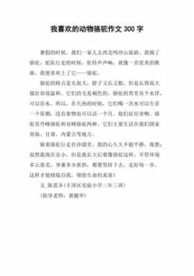 骆驼子短文阅读（骆驼这篇文章）-图1