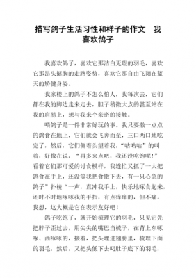 鸽子的外形的短文（介绍鸽子的外形）-图1