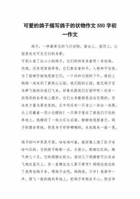 赞美鸽子的短文（赞美鸽子的优美语句）-图3