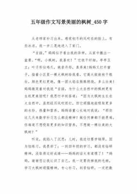 美丽的眼镜小短文的简单介绍-图1