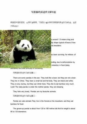 熊猫的英语小短文（熊猫的英文短文）-图1