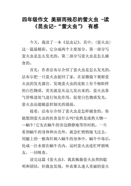 荧火虫阅读短文（萤火虫阅读短文）-图3