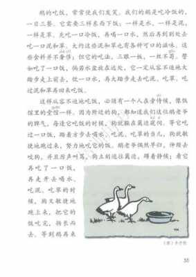 白鹅短文（白鹅短文鹅不惧怕人的性格导致的后果是什么）-图3