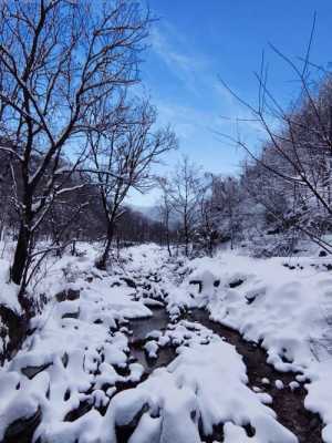 雪中激战小短文（雪中激情怎么写）-图3