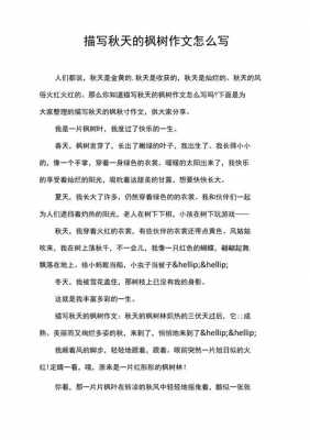 秋天枫树短文（关于秋天枫树的文章）-图2