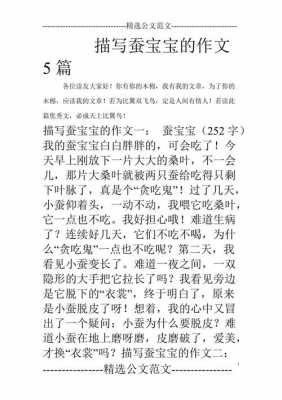 关于蚕的短文（关于蚕的文章）-图1