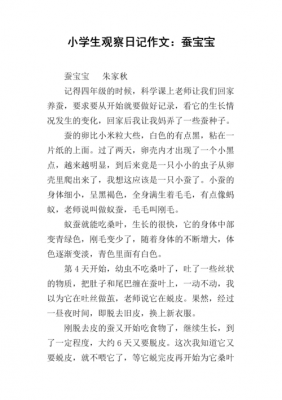 关于蚕的短文（关于蚕的文章）-图3