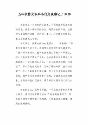 观察小兔短文（观察小兔短文100字）-图1