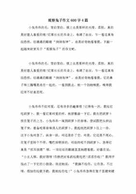 观察小兔短文（观察小兔短文100字）-图2