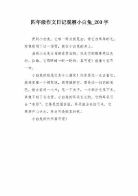 观察小兔短文（观察小兔短文100字）-图3